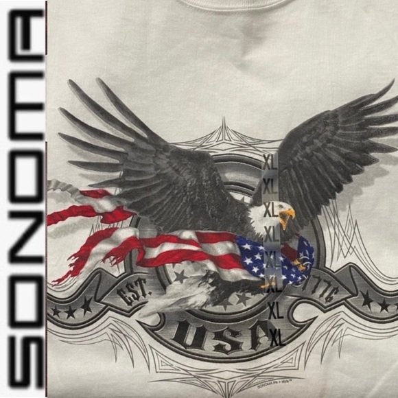 🇺🇸Men’s USA Eagle Graphic Tee Sonoma - Picture 2 of 6